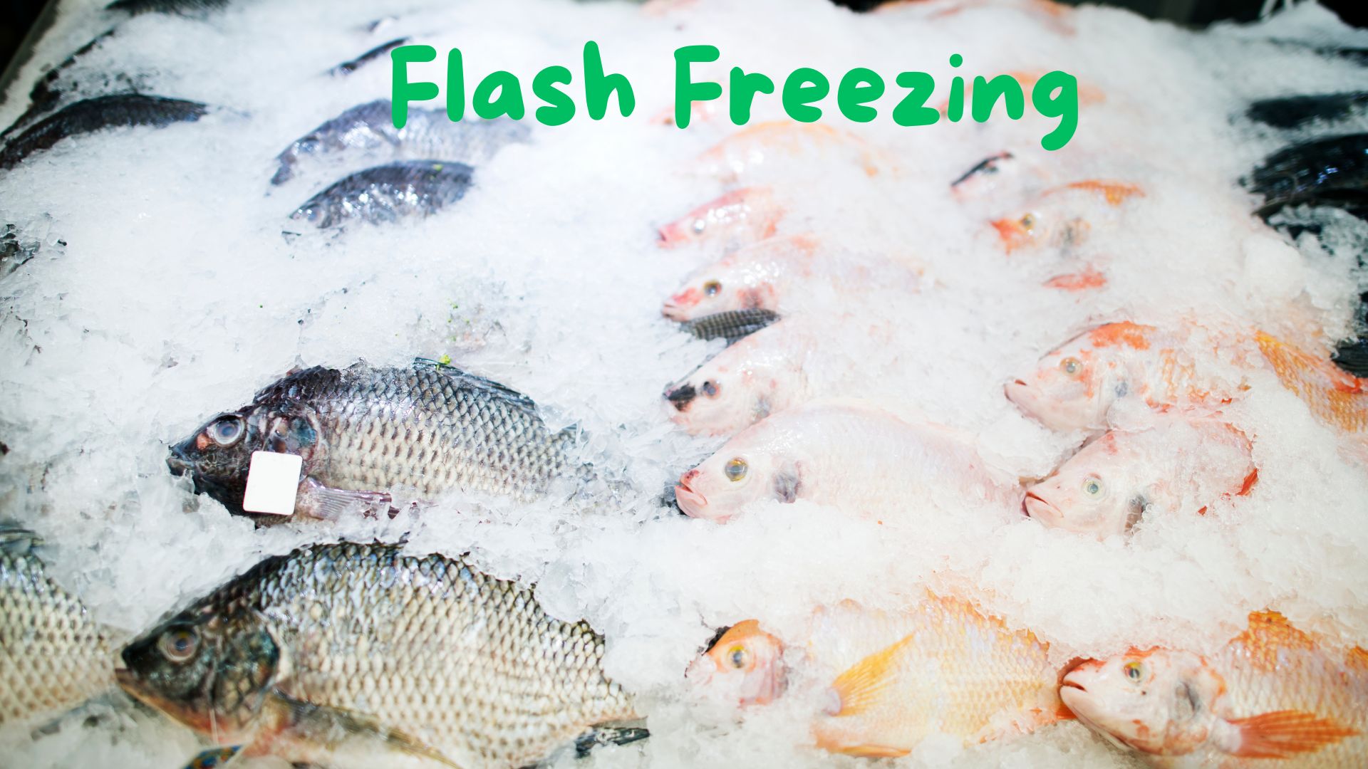 Flash Freezing 